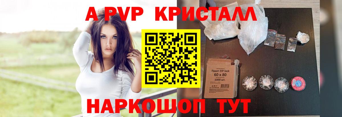 Новодвинск  APVP СК  Вход с VPN 