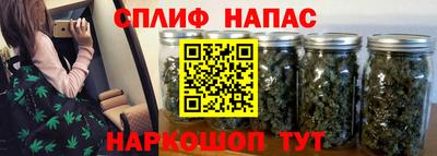 индика Изобильный