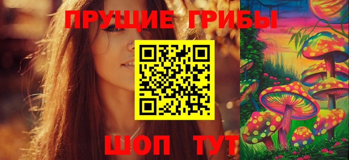 Псилоцибиновые грибы Psilocybe Новодвинск