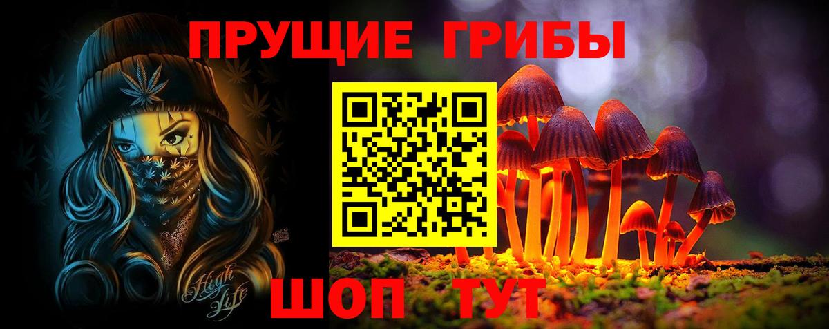 купить наркотики цена  Псилоцибиновые грибы Magic Shrooms  Вход с VPN  Новодвинск 
